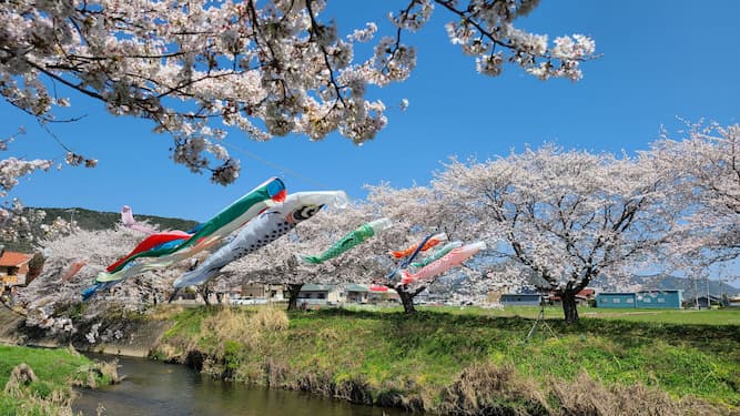 長い冬眠からカムバックです♪