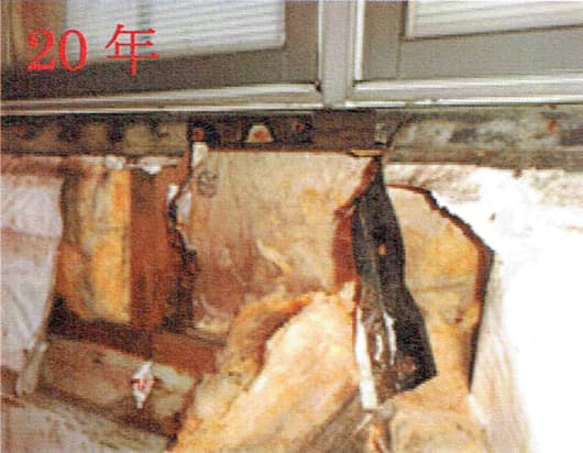 タイベック20年